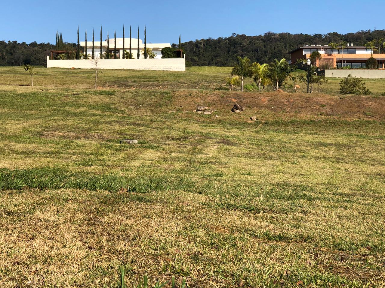Vista do lote com residências vizinhas ao fundo
